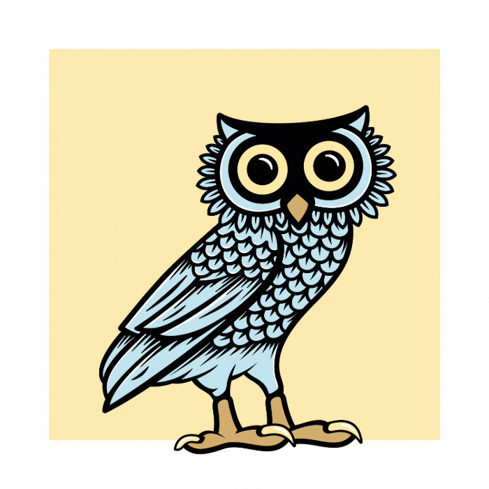 chouette fond jaune